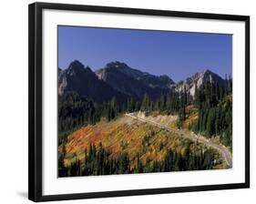 Paradise Road and Tatoosh Range, Mt. Rainier National Park, Washington, USA-null-Framed Photographic Print