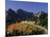 Paradise Road and Tatoosh Range, Mt. Rainier National Park, Washington, USA-null-Mounted Photographic Print