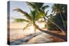 Paradise Shore-Stefan Hefele-Stretched Canvas