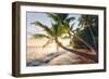 Paradise Shore-Stefan Hefele-Framed Giclee Print