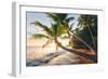 Paradise Shore-Stefan Hefele-Framed Giclee Print