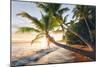 Paradise Shore-Stefan Hefele-Mounted Giclee Print