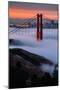Paradise Sunrise and Fog, Golden Gate Bridge, San Francisco-Vincent James-Mounted Photographic Print