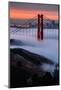 Paradise Sunrise and Fog, Golden Gate Bridge, San Francisco-Vincent James-Mounted Photographic Print