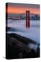 Paradise Sunrise and Fog, Golden Gate Bridge, San Francisco-Vincent James-Stretched Canvas