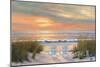 Paradise Sunset-Diane Romanello-Mounted Art Print