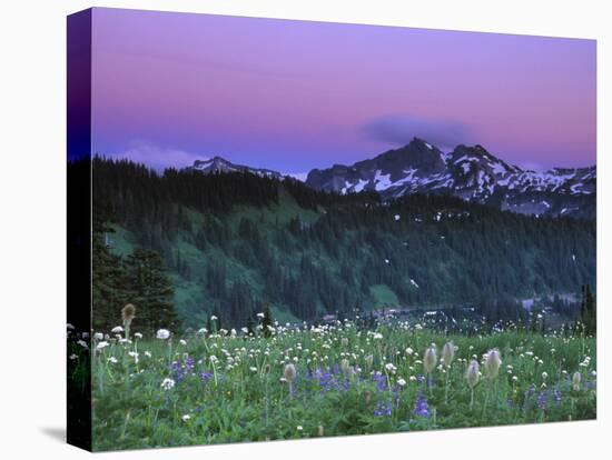 Paradise Twilight, Mt. Rainier National Park, Washington, USA-Rob Tilley-Stretched Canvas