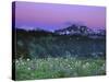 Paradise Twilight, Mt. Rainier National Park, Washington, USA-Rob Tilley-Stretched Canvas