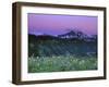 Paradise Twilight, Mt. Rainier National Park, Washington, USA-Rob Tilley-Framed Premium Photographic Print