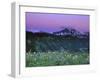 Paradise Twilight, Mt. Rainier National Park, Washington, USA-Rob Tilley-Framed Premium Photographic Print