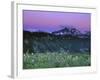 Paradise Twilight, Mt. Rainier National Park, Washington, USA-Rob Tilley-Framed Photographic Print