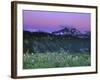 Paradise Twilight, Mt. Rainier National Park, Washington, USA-Rob Tilley-Framed Photographic Print