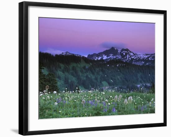 Paradise Twilight, Mt. Rainier National Park, Washington, USA-Rob Tilley-Framed Photographic Print