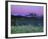 Paradise Twilight, Mt. Rainier National Park, Washington, USA-Rob Tilley-Framed Photographic Print