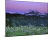 Paradise Twilight, Mt. Rainier National Park, Washington, USA-Rob Tilley-Mounted Photographic Print