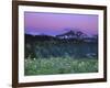 Paradise Twilight, Mt. Rainier National Park, Washington, USA-Rob Tilley-Framed Photographic Print