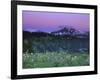 Paradise Twilight, Mt. Rainier National Park, Washington, USA-Rob Tilley-Framed Photographic Print