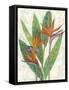 Paradise Vacation I-Chariklia Zarris-Framed Stretched Canvas