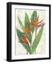 Paradise Vacation I-Chariklia Zarris-Framed Art Print