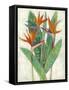 Paradise Vacation II-Chariklia Zarris-Framed Stretched Canvas