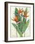 Paradise Vacation II-Chariklia Zarris-Framed Art Print