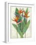 Paradise Vacation II-Chariklia Zarris-Framed Art Print