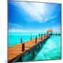 Paradise. Vacations and Tourism Concept. Tropical Resort. Jetty on Isla Mujeres, Mexico,Cancun-Subbotina Anna-Mounted Photographic Print