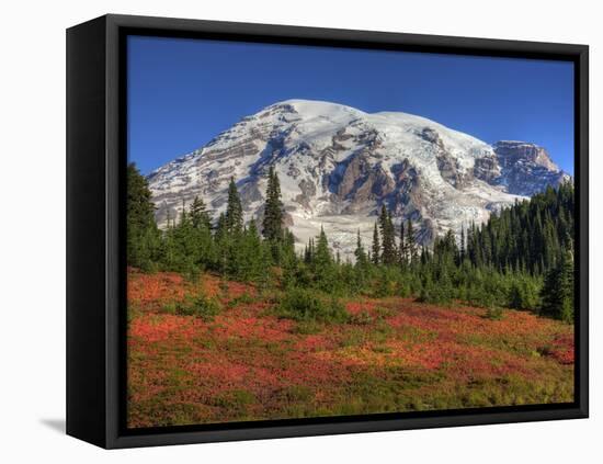 Paradise Valley and Mt. Rainier, Mt. Rainier National Park, Washington, Usa-Jamie & Judy Wild-Framed Stretched Canvas