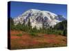 Paradise Valley and Mt. Rainier, Mt. Rainier National Park, Washington, Usa-Jamie & Judy Wild-Stretched Canvas