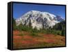 Paradise Valley and Mt. Rainier, Mt. Rainier National Park, Washington, Usa-Jamie & Judy Wild-Framed Stretched Canvas