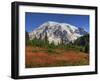 Paradise Valley and Mt. Rainier, Mt. Rainier National Park, Washington, Usa-Jamie & Judy Wild-Framed Photographic Print