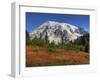 Paradise Valley and Mt. Rainier, Mt. Rainier National Park, Washington, Usa-Jamie & Judy Wild-Framed Photographic Print