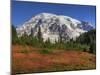 Paradise Valley and Mt. Rainier, Mt. Rainier National Park, Washington, Usa-Jamie & Judy Wild-Mounted Photographic Print