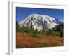 Paradise Valley and Mt. Rainier, Mt. Rainier National Park, Washington, Usa-Jamie & Judy Wild-Framed Photographic Print