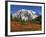 Paradise Valley and Mt. Rainier, Mt. Rainier National Park, Washington, Usa-Jamie & Judy Wild-Framed Photographic Print