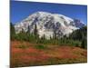 Paradise Valley and Mt. Rainier, Mt. Rainier National Park, Washington, Usa-Jamie & Judy Wild-Mounted Photographic Print