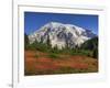 Paradise Valley and Mt. Rainier, Mt. Rainier National Park, Washington, Usa-Jamie & Judy Wild-Framed Photographic Print