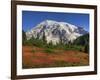 Paradise Valley and Mt. Rainier, Mt. Rainier National Park, Washington, Usa-Jamie & Judy Wild-Framed Photographic Print