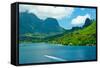 Paradise View of Moorea Islands, Cook's Bay, French Polynesia-mffoto-Framed Stretched Canvas