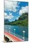 Paradise View of Moorea Islands, Cook's Bay, French Polynesia-mffoto-Mounted Photographic Print