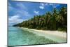 Paradise White Sand Beach and Turquoise Water on Ant Atoll, Pohnpei, Micronesia, Pacific-Michael Runkel-Mounted Photographic Print