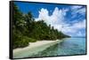 Paradise White Sand Beach in Turquoise Water in the Ant Atoll, Pohnpei, Micronesia-Michael Runkel-Framed Stretched Canvas