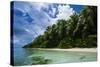 Paradise White Sand Beach in Turquoise Water in the Ant Atoll, Pohnpei, Micronesia-Michael Runkel-Stretched Canvas