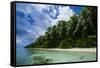 Paradise White Sand Beach in Turquoise Water in the Ant Atoll, Pohnpei, Micronesia-Michael Runkel-Framed Stretched Canvas