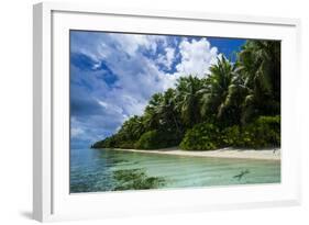 Paradise White Sand Beach in Turquoise Water in the Ant Atoll, Pohnpei, Micronesia-Michael Runkel-Framed Photographic Print