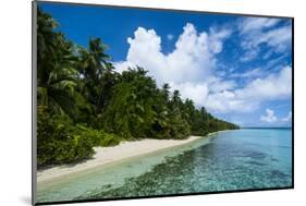 Paradise White Sand Beach in Turquoise Water in the Ant Atoll, Pohnpei, Micronesia-Michael Runkel-Mounted Photographic Print