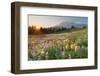 Paradise Wildflower Meadows I-Alan Majchrowicz-Framed Photographic Print