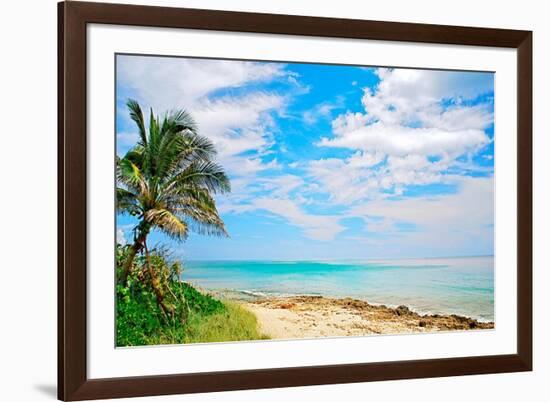 Paradise-Gail Peck-Framed Art Print