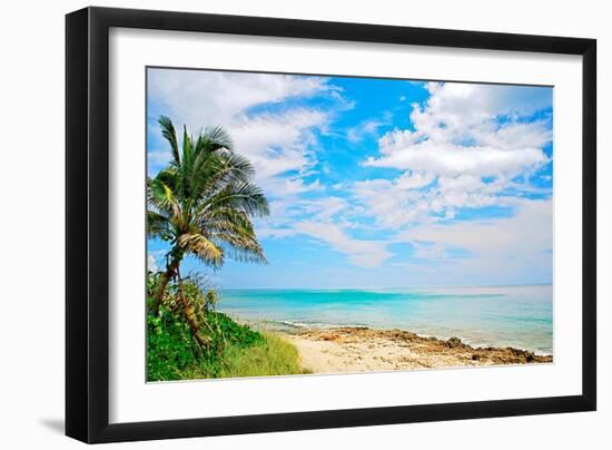 Paradise-Gail Peck-Framed Art Print