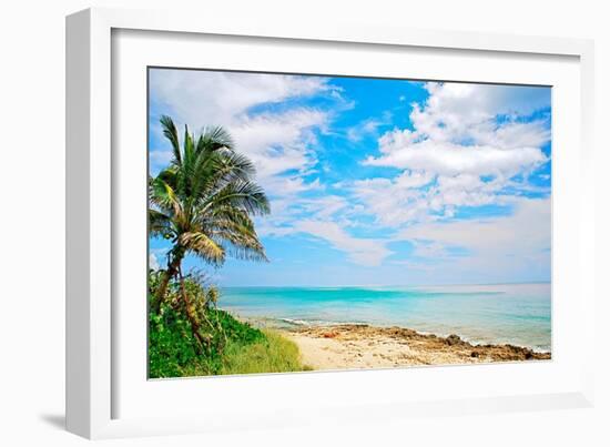 Paradise-Gail Peck-Framed Art Print